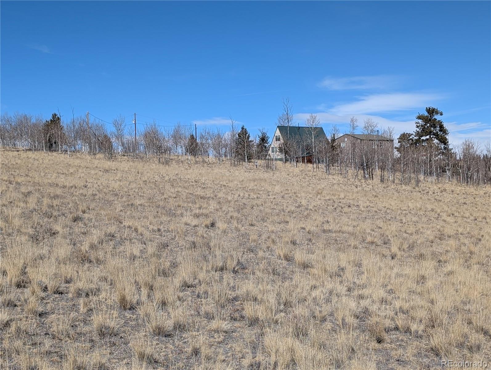 67 Colt Lane Como, CO 80432 - Photo 11 of 15 a view of a dry yard with trees