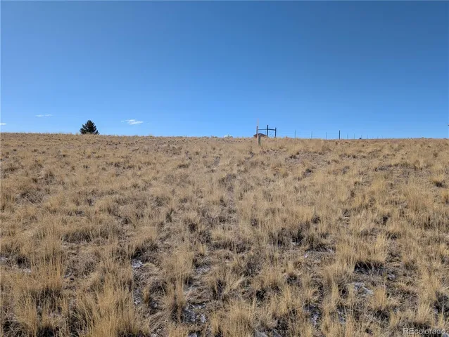 a view of lush green field