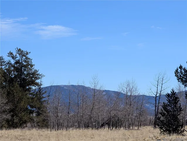 a view of a dry yard with trees