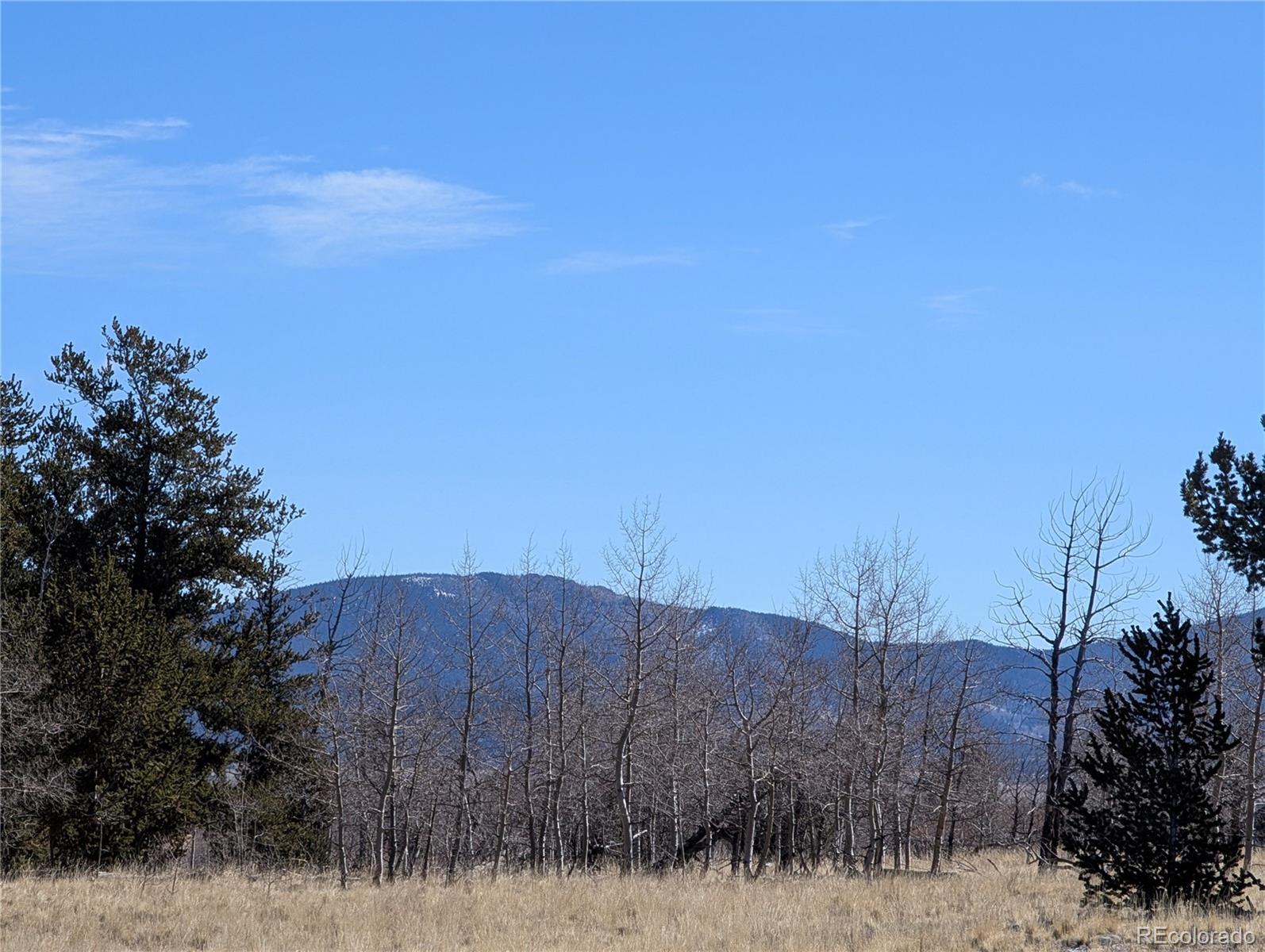 67 Colt Lane Como, CO 80432 - Photo 6 of 15 a view of a dry yard with trees