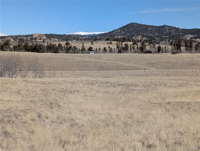 a view of an dry yard