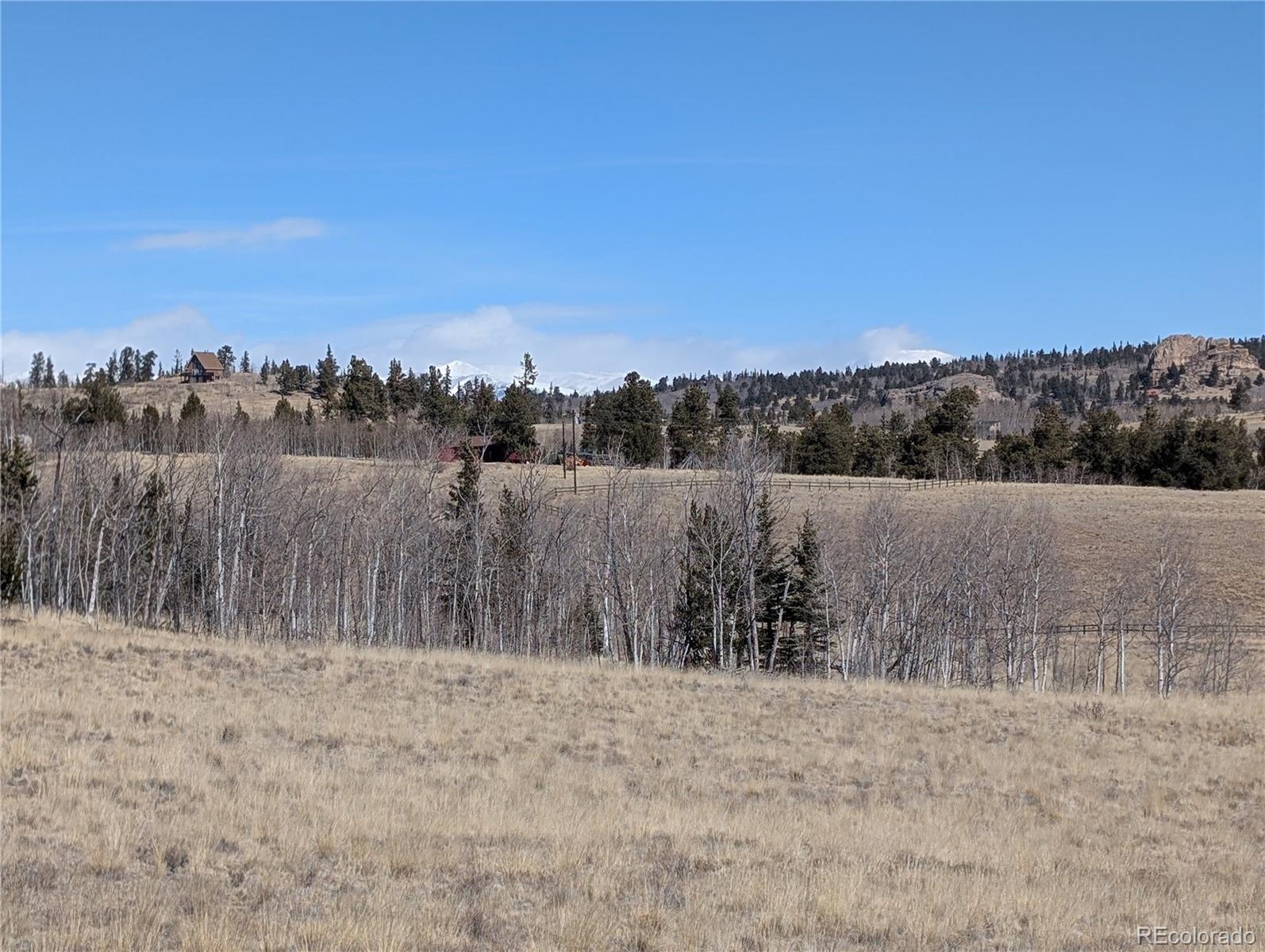 67 Colt Lane Como, CO 80432 - Photo 9 of 15 a view of a yard