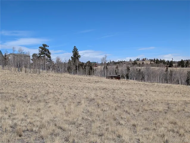 a view of a dry yard with trees