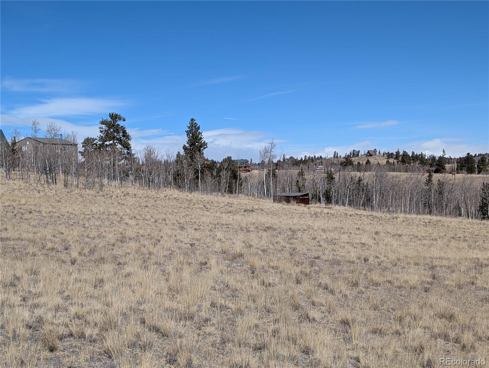67 Colt Lane Como, CO 80432 - Photo 10 of 15 a view of a dry yard with trees