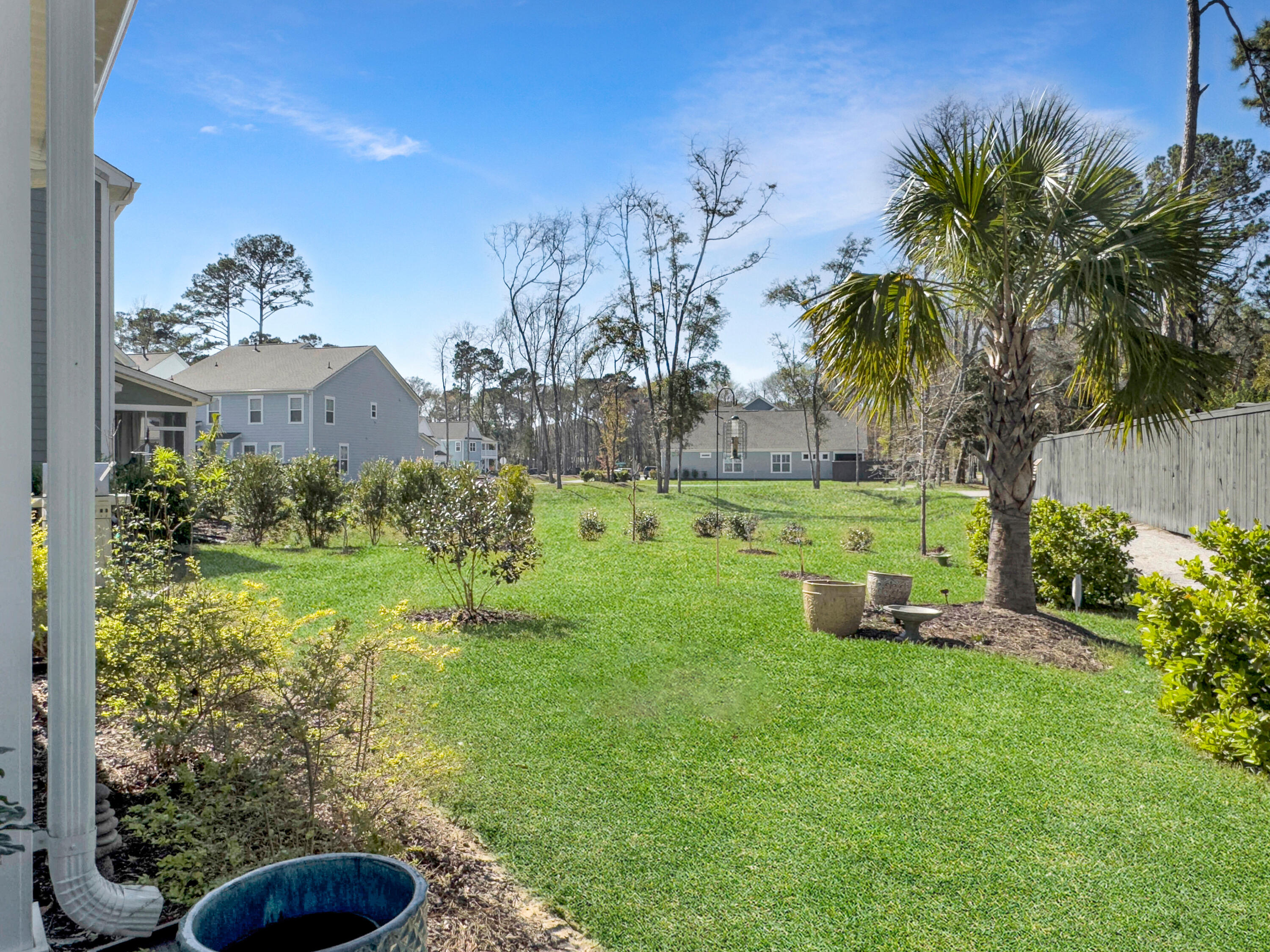 2881 Backman Street Mount Pleasant, SC 29466 - Photo 52 of 70 Backyard