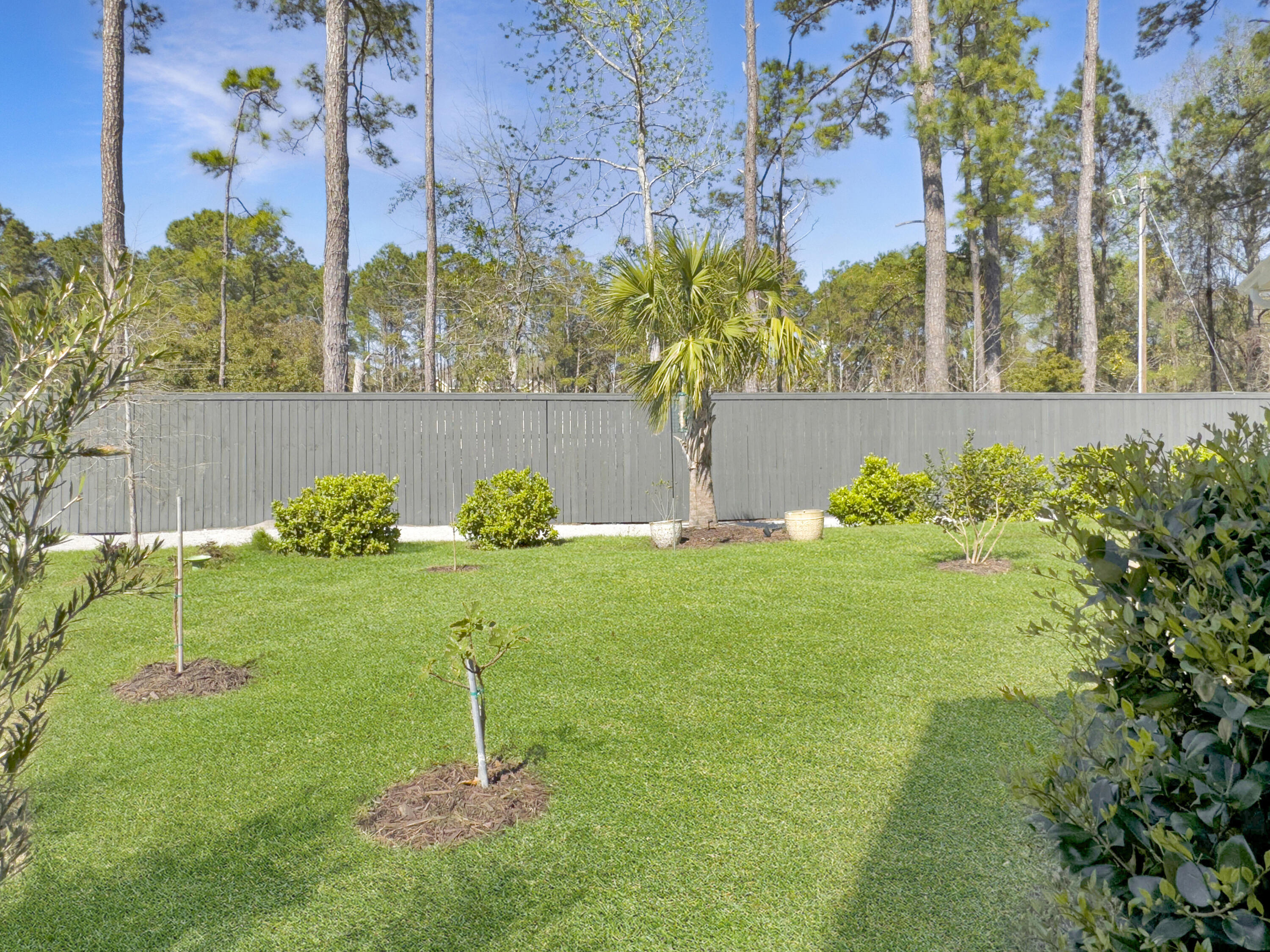2881 Backman Street Mount Pleasant, SC 29466 - Photo 54 of 70 Backyard