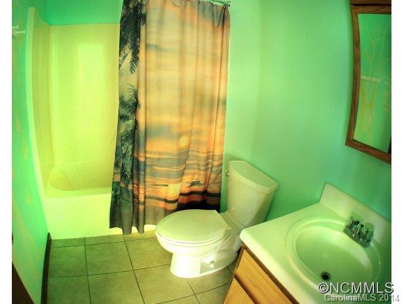 33 Pole Miller Road Brevard, NC 28712 - Photo 11 of 13 Gallery Image 11