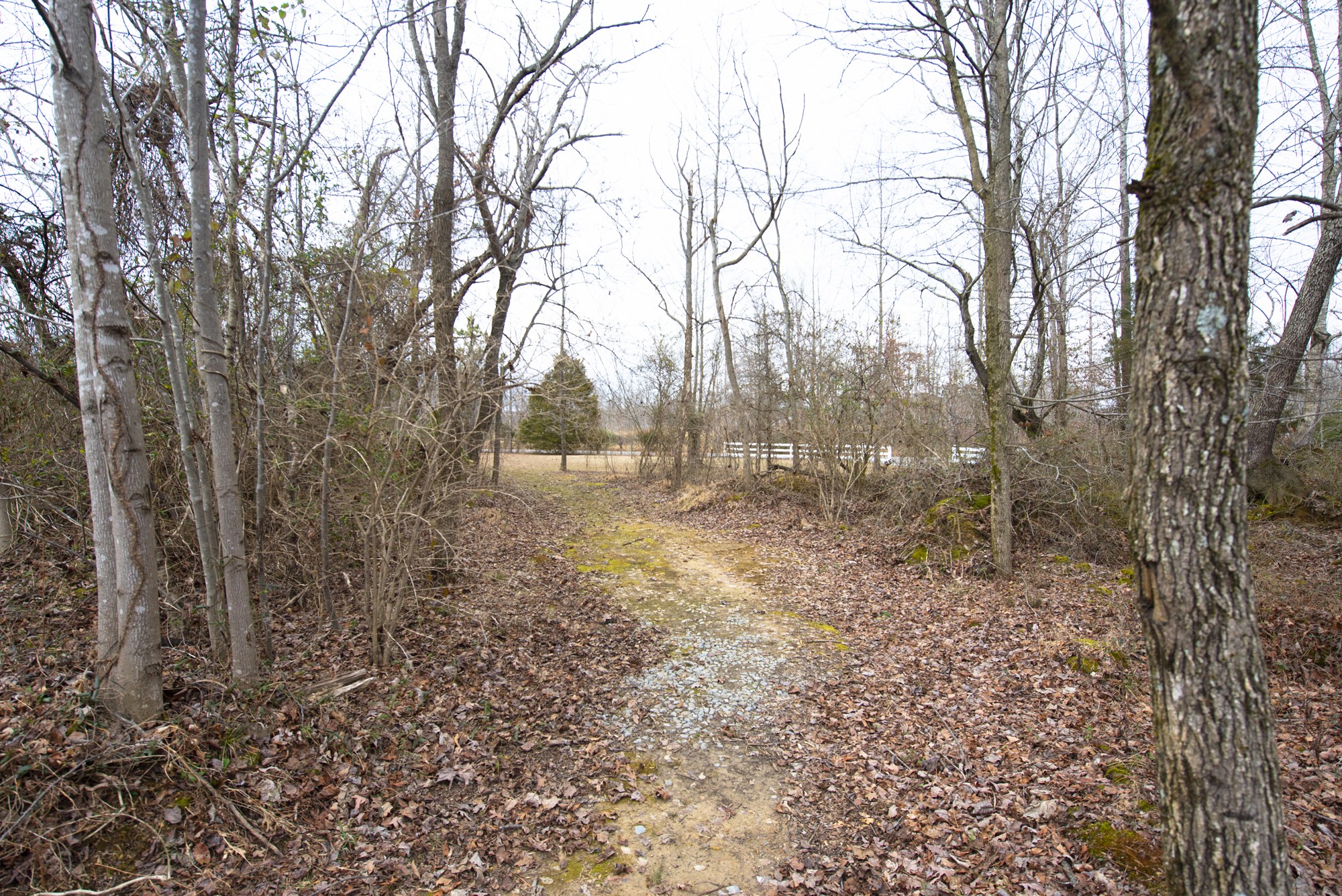 1482 Woosley Road Tullahoma, TN 37388 - Photo 6 of 26 Gallery Image 6