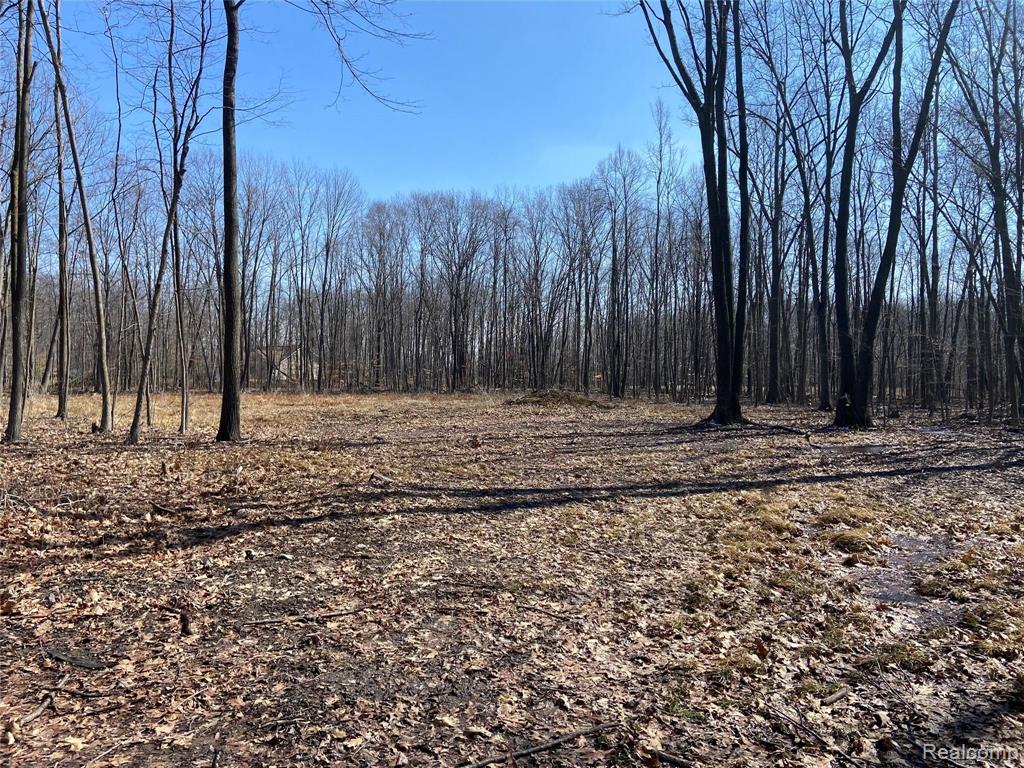 10067 Metcalf Road Avoca, MI 48006 - Photo 11 of 12