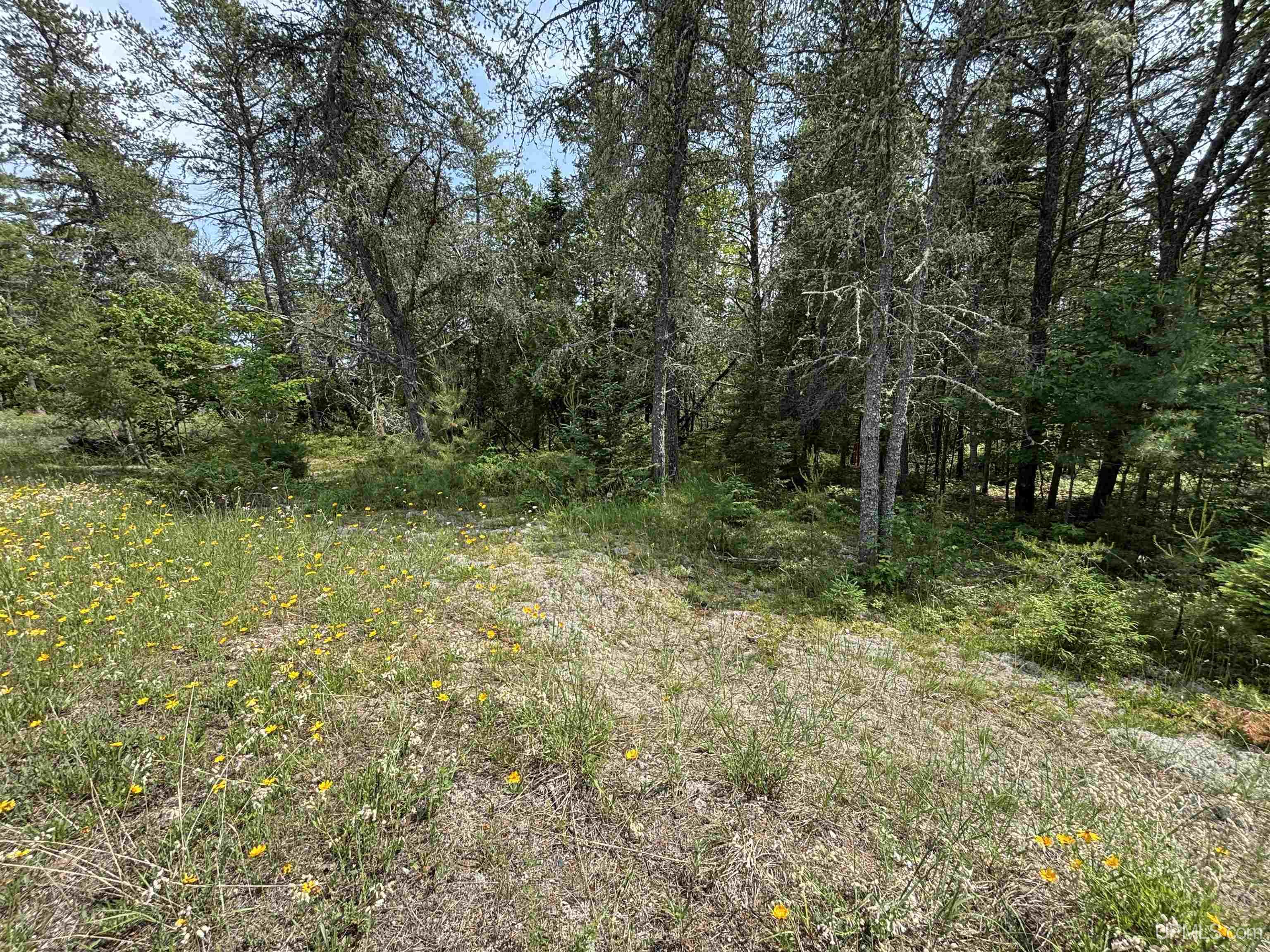 Tbd West Beach Road Naubinway, MI 49762 - Photo 10 of 45