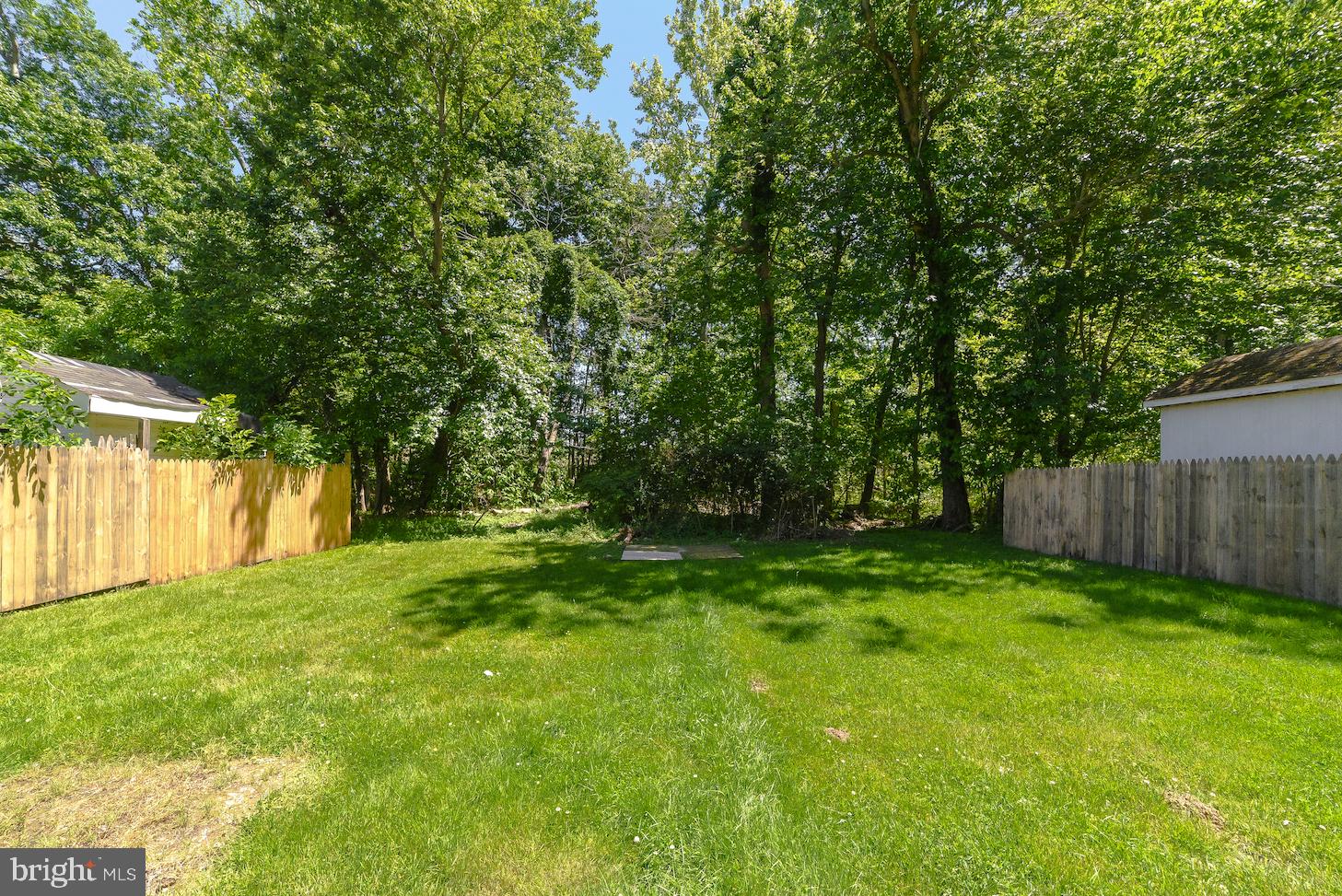 1607 Beech Road St. Leonard, MD 20685 - Photo 7 of 33 a view of backyard with green space