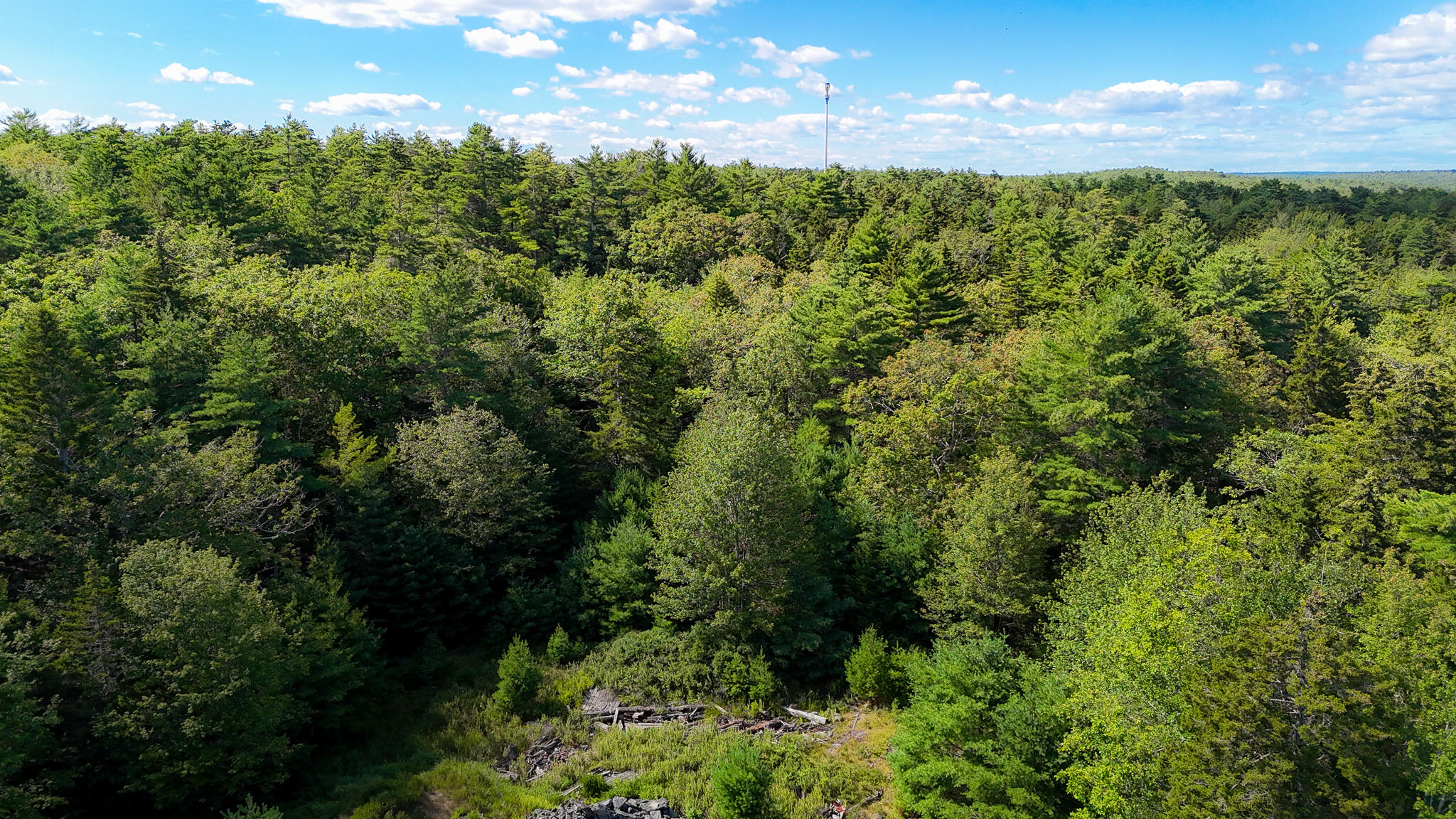 1 Plum Lane, Unit D Georgetown, ME 04548 - Photo 2 of 3