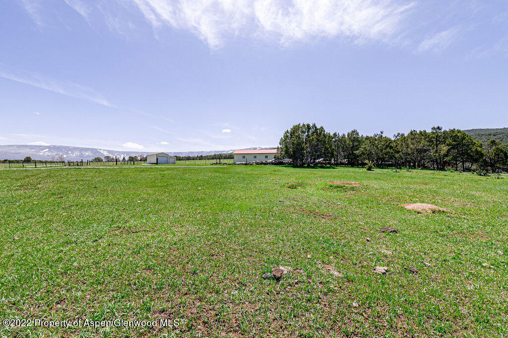 47417 KE Road Mesa, CO 81643 - Photo 31 of 40 a view of a field with an trees in the background