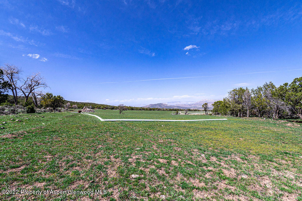 47417 KE Road Mesa, CO 81643 - Photo 33 of 40 a view of a field with plants and trees