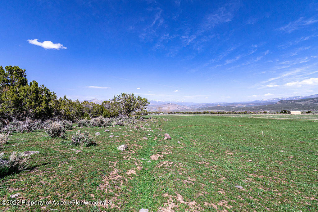 47417 KE Road Mesa, CO 81643 - Photo 37 of 40 a view of a green field with lots of bushes