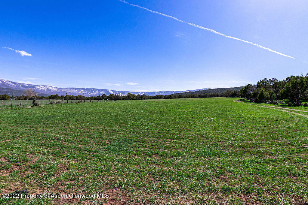 47417 KE Road Mesa, CO 81643 - Photo 38 of 40 a view of a big yard with a large tree