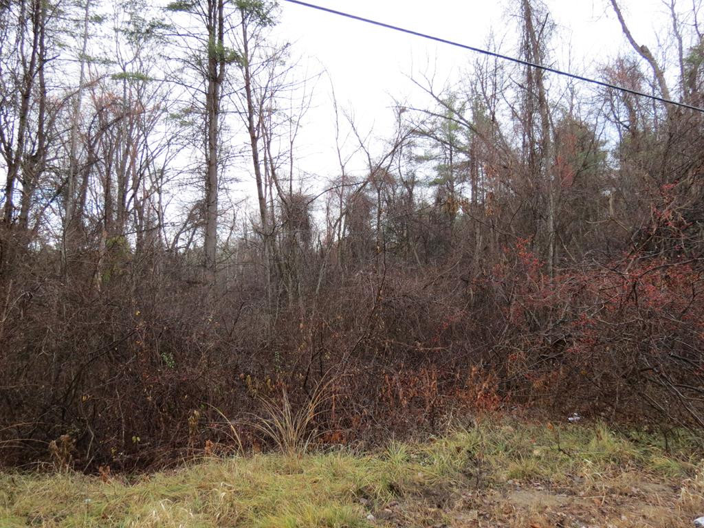 Lot 10 Soper Road Essex, NY 12936 - Photo 2 of 3