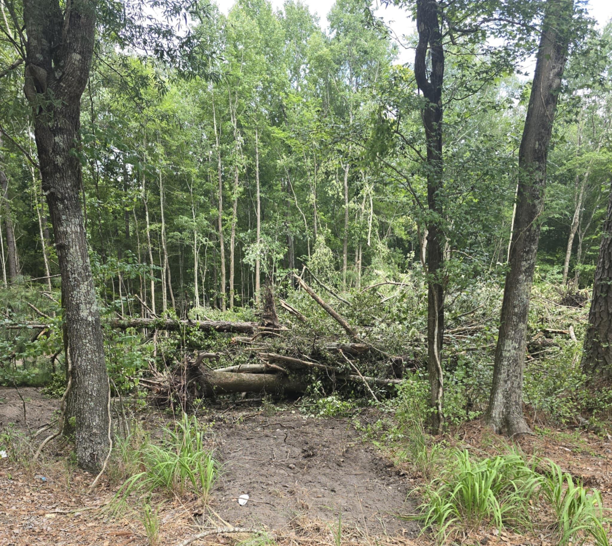 1404 Dr Evans Road Moncks Corner, SC 29461 - Photo 1 of 1 1404 Dr Evans Road