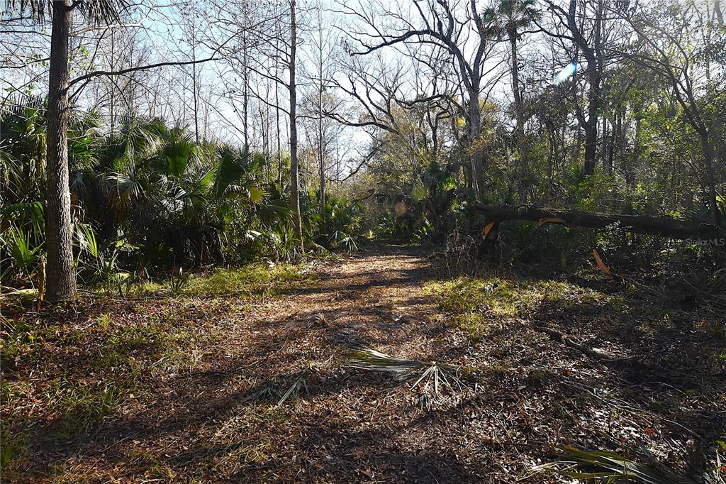 4721 Lingo Grove Road Edgewater, FL 32141 - Photo 3 of 10