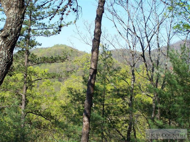 328 Pepperroot Road Boone, NC 28607 - Photo 1 of 1 Gallery Image 1