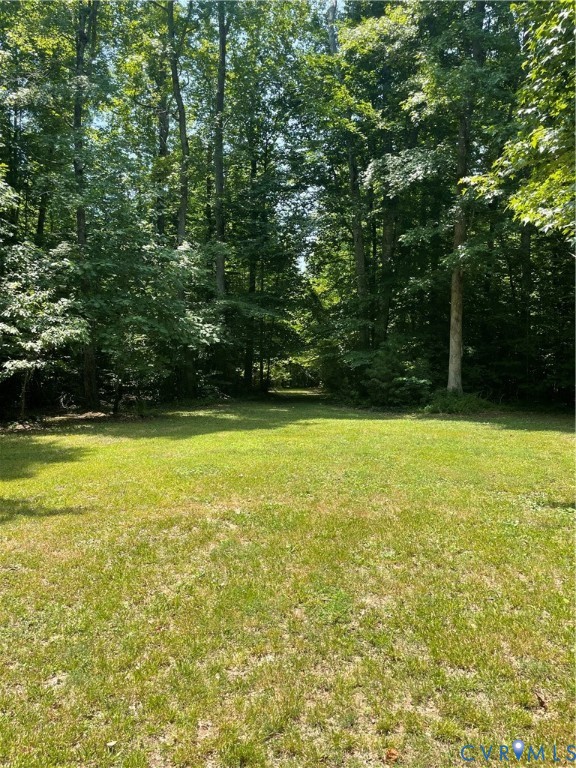 0 Tbd Bumpass, VA 23024 - Photo 5 of 8 Expansive grassy area bordered by a dense tree lin