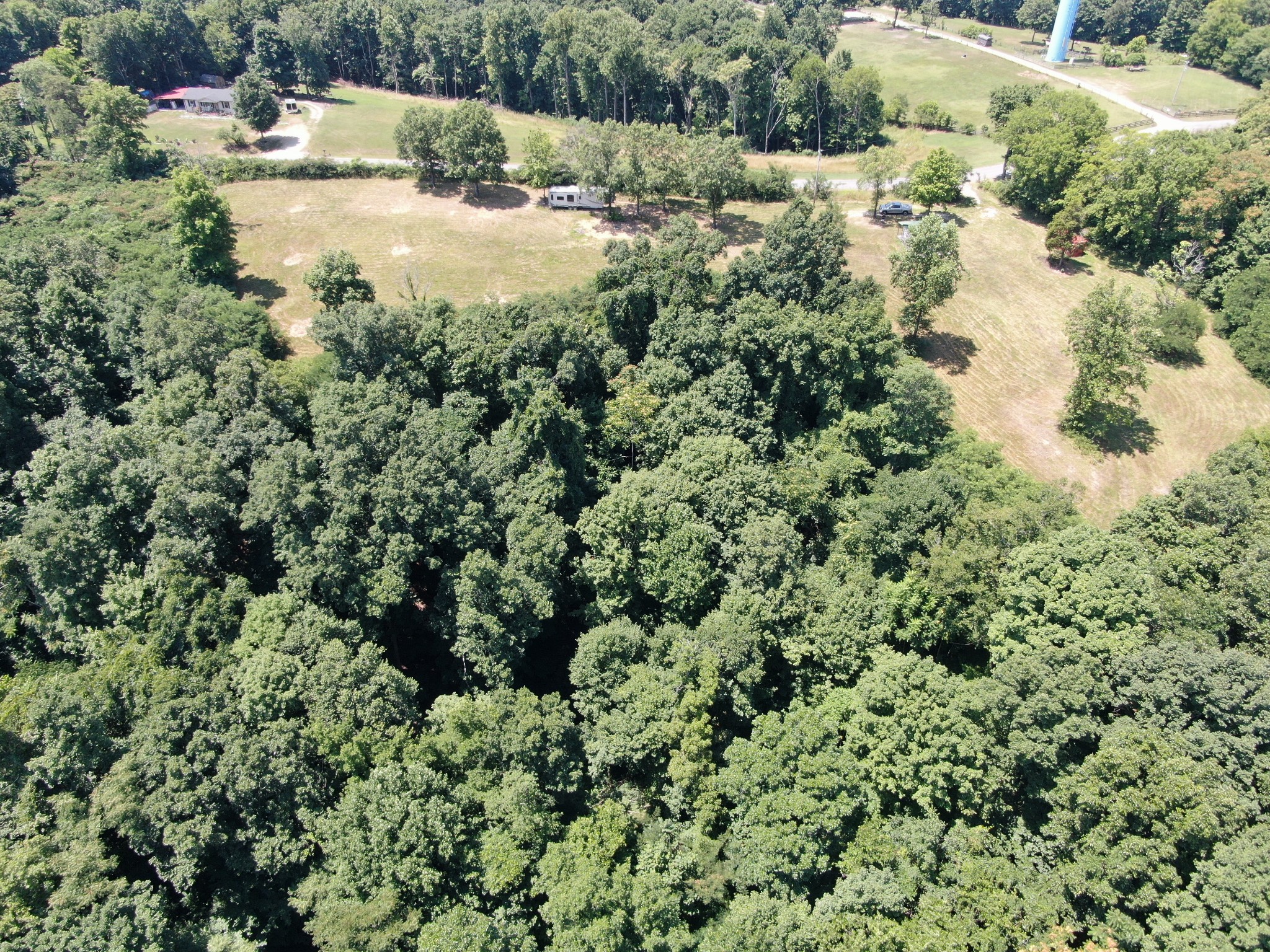 3664 Booker Ridge Road Mount Pleasant, TN 38474 - Photo 14 of 24 Gallery Image 14