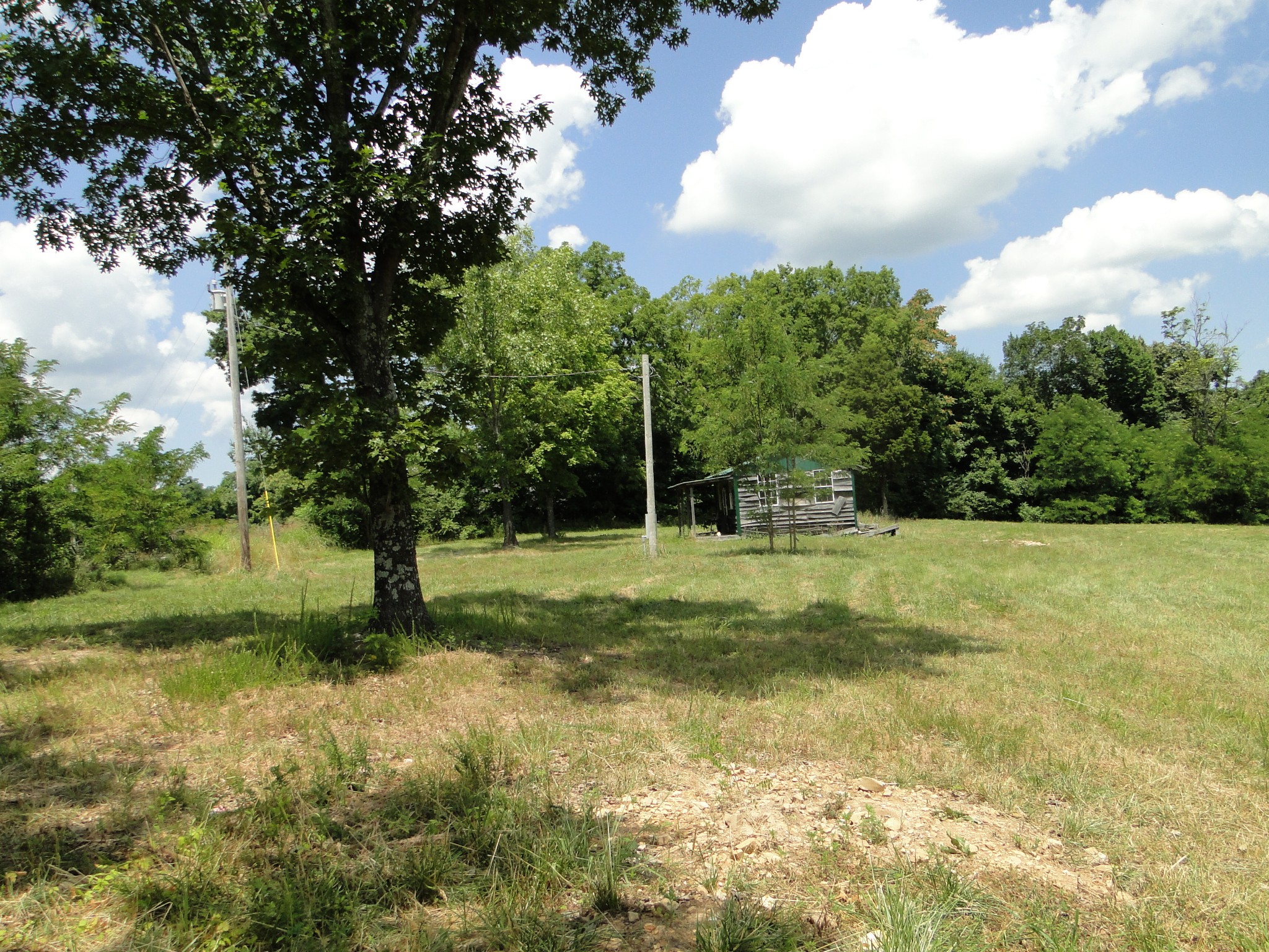 3664 Booker Ridge Road Mount Pleasant, TN 38474 - Photo 20 of 24 Gallery Image 20