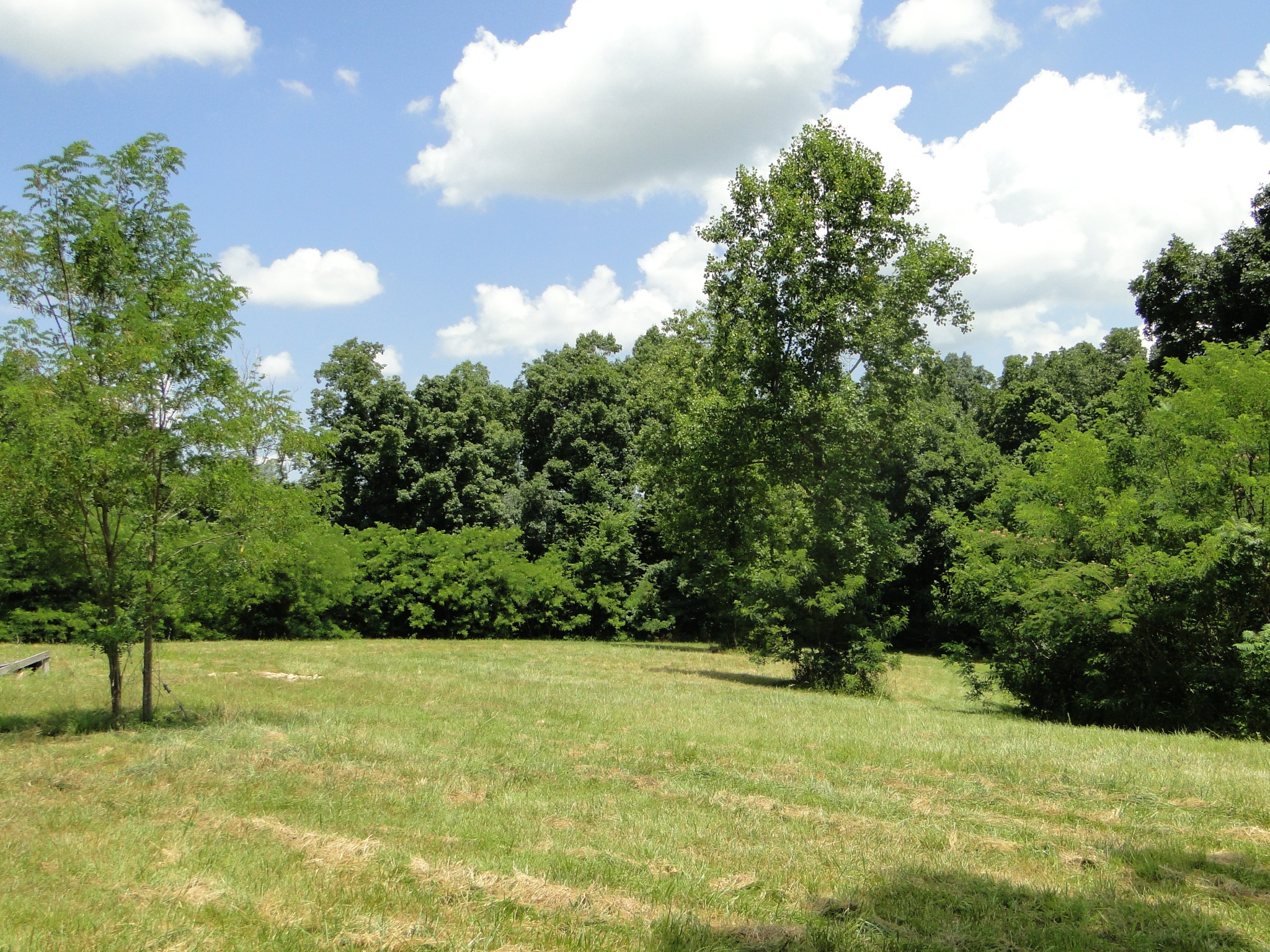 3664 Booker Ridge Road Mount Pleasant, TN 38474 - Photo 21 of 24 Gallery Image 21