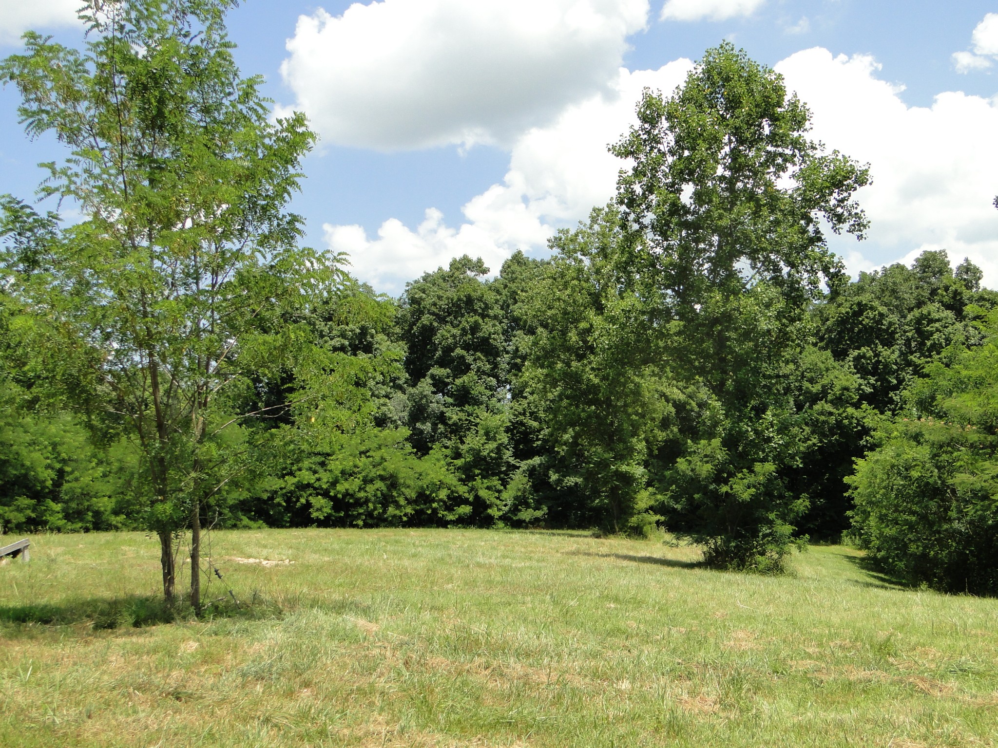 3664 Booker Ridge Road Mount Pleasant, TN 38474 - Photo 22 of 24 Gallery Image 22