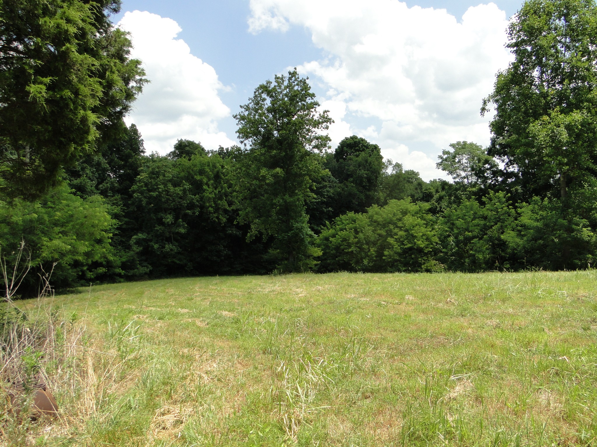 3664 Booker Ridge Road Mount Pleasant, TN 38474 - Photo 24 of 24 Gallery Image 24