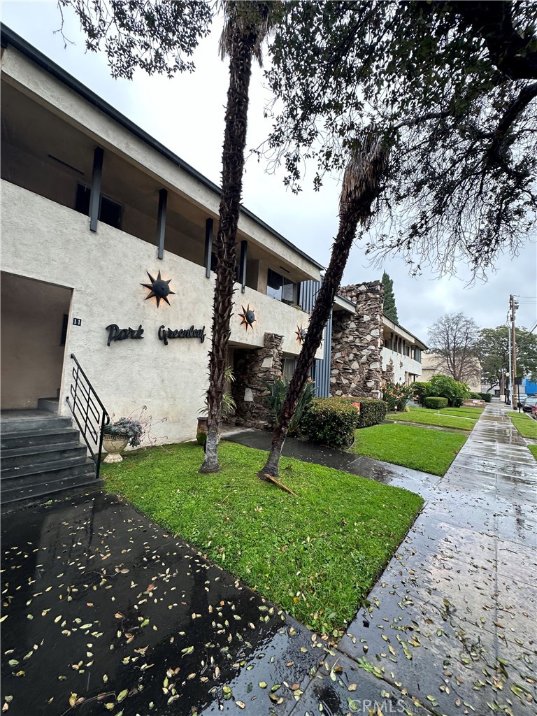 a view of a garden with plants