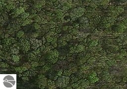 0 East Duck Lake Road Grawn, MI 49637 - Photo 3 of 6 1779453-2.JPG