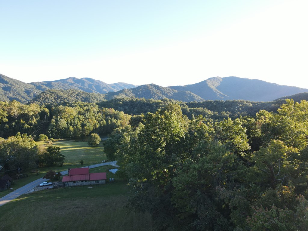 999 Ledbetter Road Robbinsville, NC 28771 - Photo 9 of 27