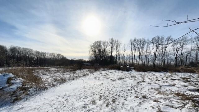 2029 Perry Highway Volant, PA 16156 - Photo 30 of 30 a view of a yard