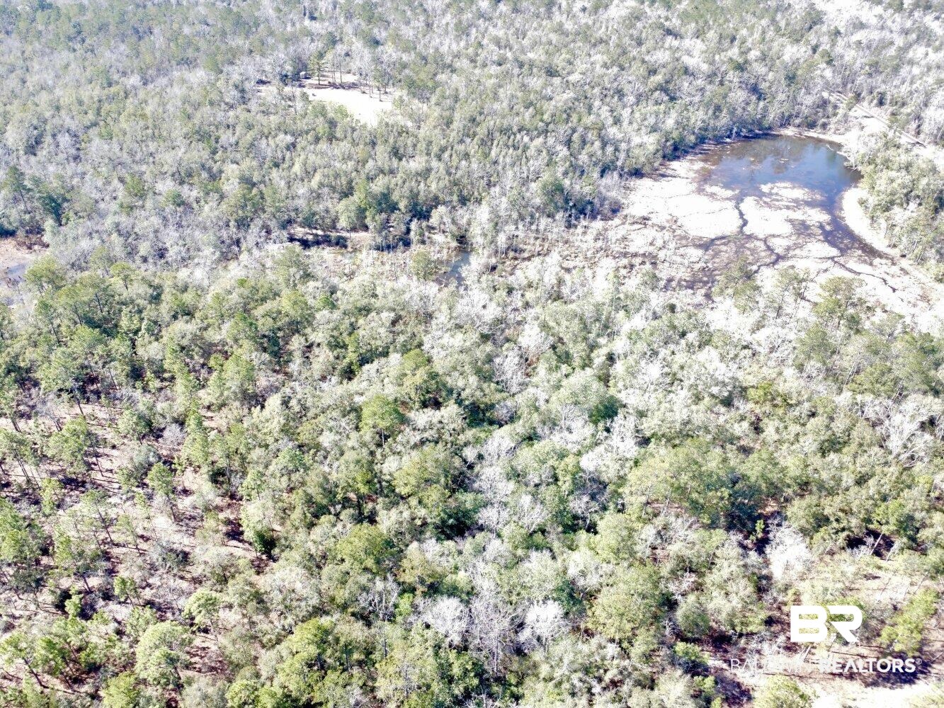 0 Dixon Road Bay Minette, AL 36507 - Photo 13 of 50