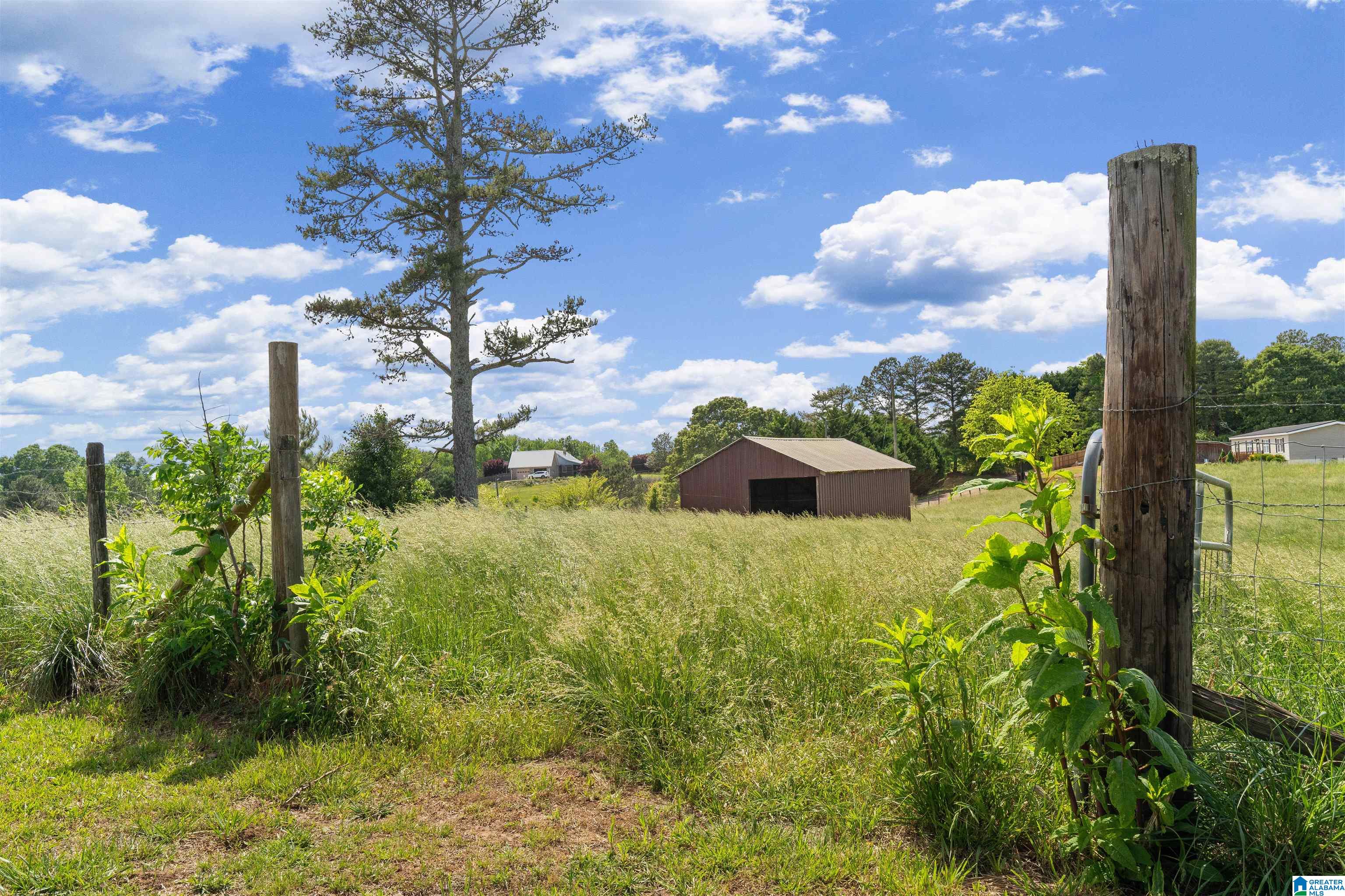 1435 County Road 633 Ranburne, AL 36273 - Photo 22 of 96