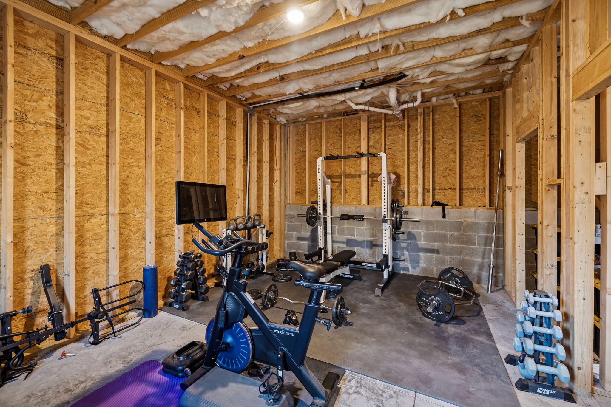 5599 Caney Ridge Circle Ooltewah, TN 37363 - Photo 56 of 60 Unfinished basement