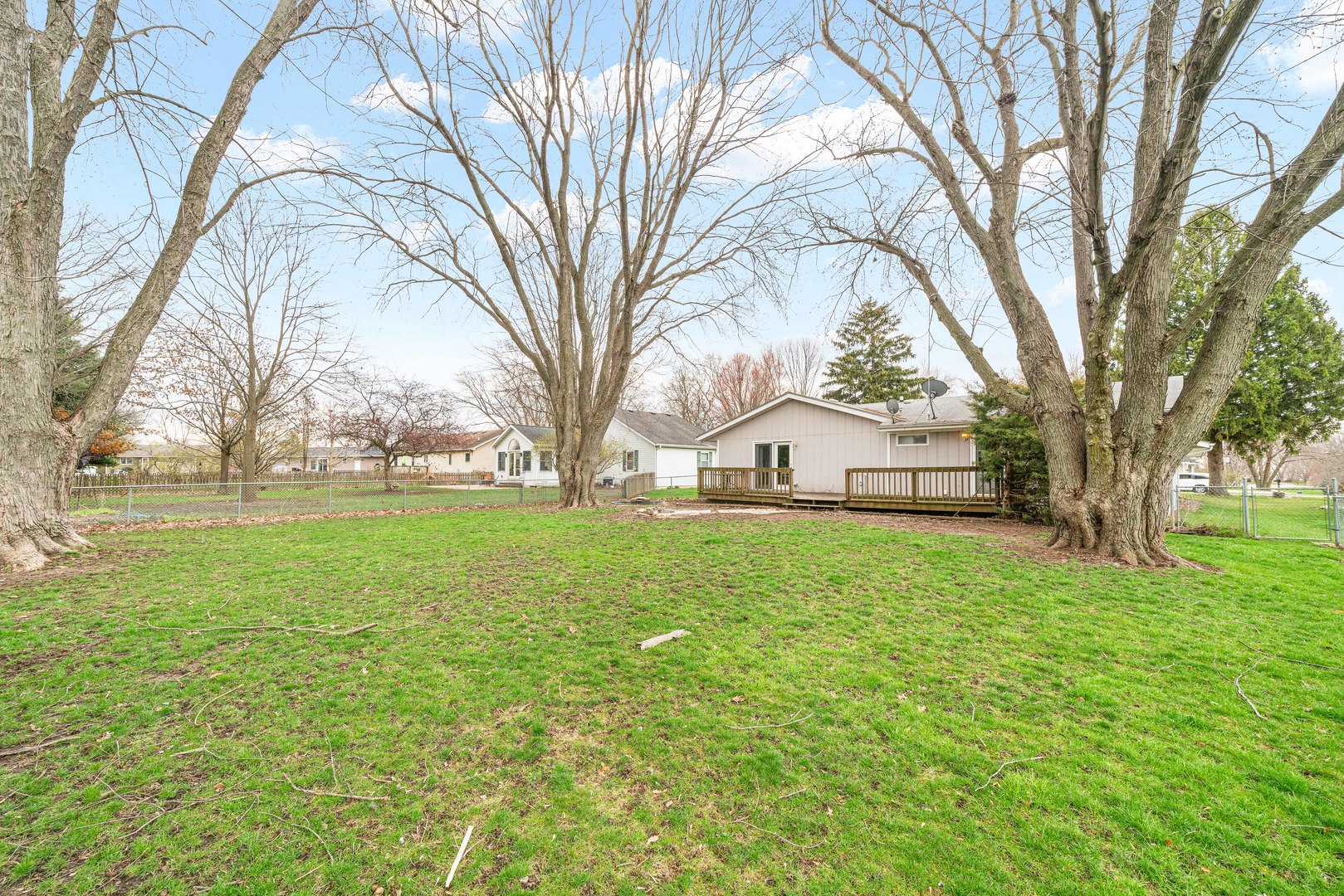 1839 Irene Road Lake Holiday, IL 60548 - Photo 18 of 19 a view of a trees and yard with a tree