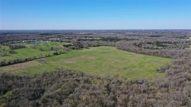 a view of a big yard with large trees