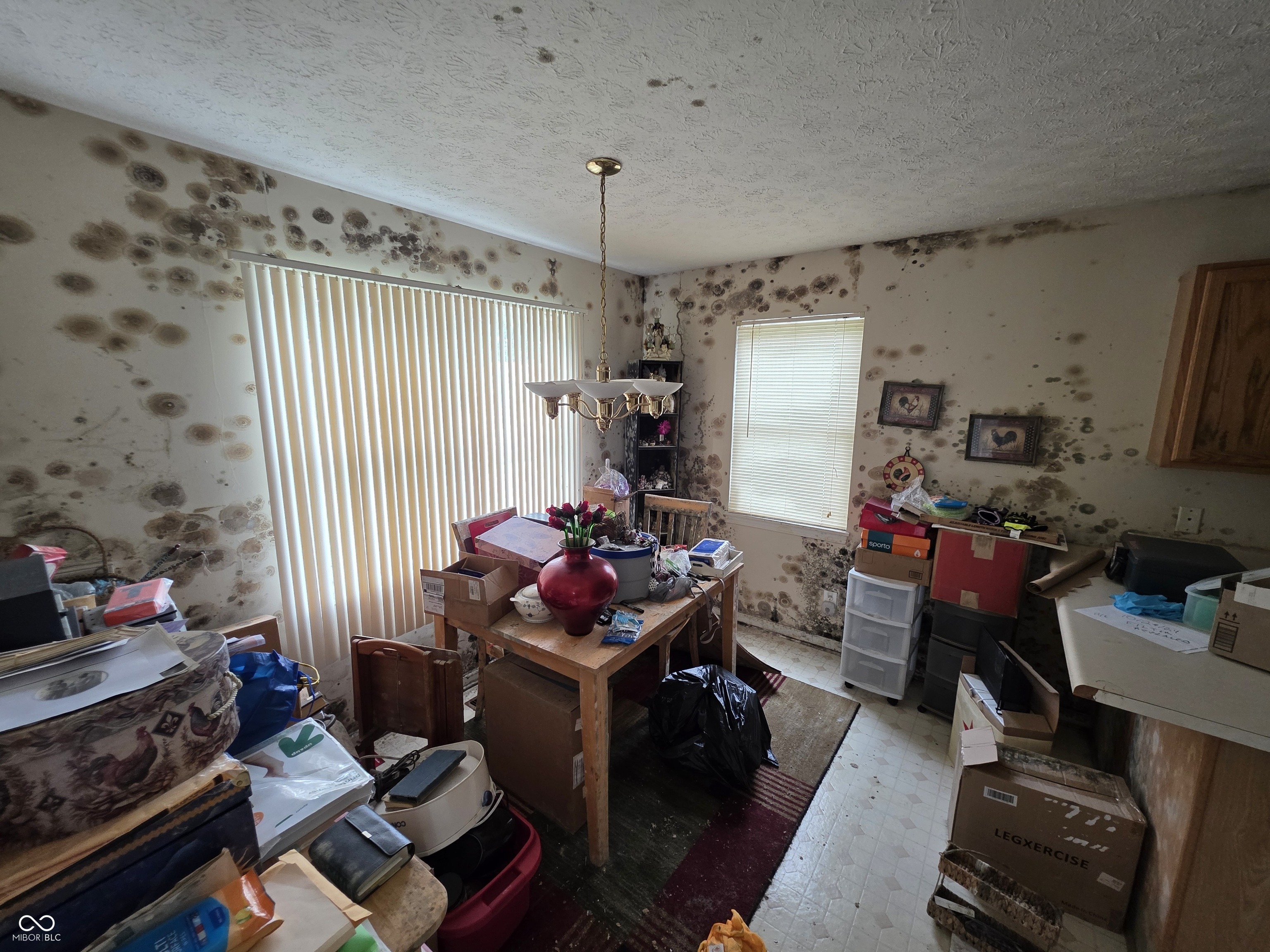 2437 Ralston Avenue Indianapolis, IN 46218 - Photo 6 of 12 Gallery Image 6