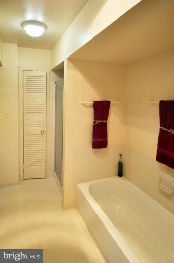 11003 Thrush Ridge Road Reston, VA 20191 - Photo 20 of 27 Master Bath