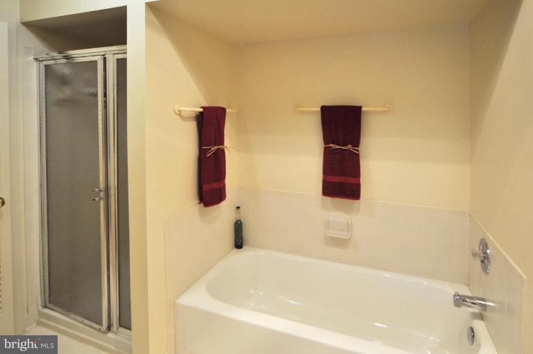 11003 Thrush Ridge Road Reston, VA 20191 - Photo 21 of 27 Master Bath #2