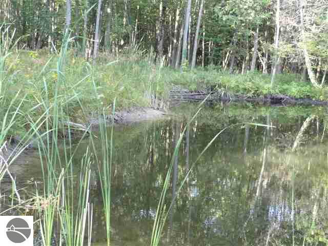 15660 Springdale Road Thompsonville, MI 49683 - Photo 3 of 15 1715799-2.JPG