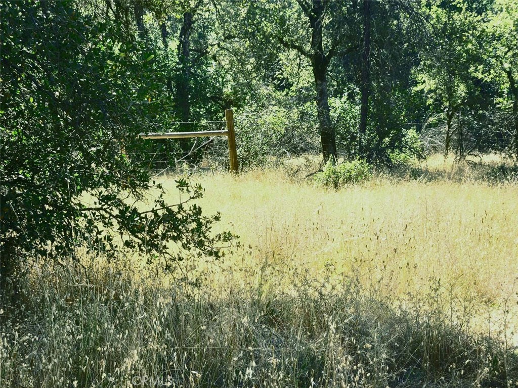 047-048 Texas Hill Road Oregon House, CA 95962 - Photo 16 of 34