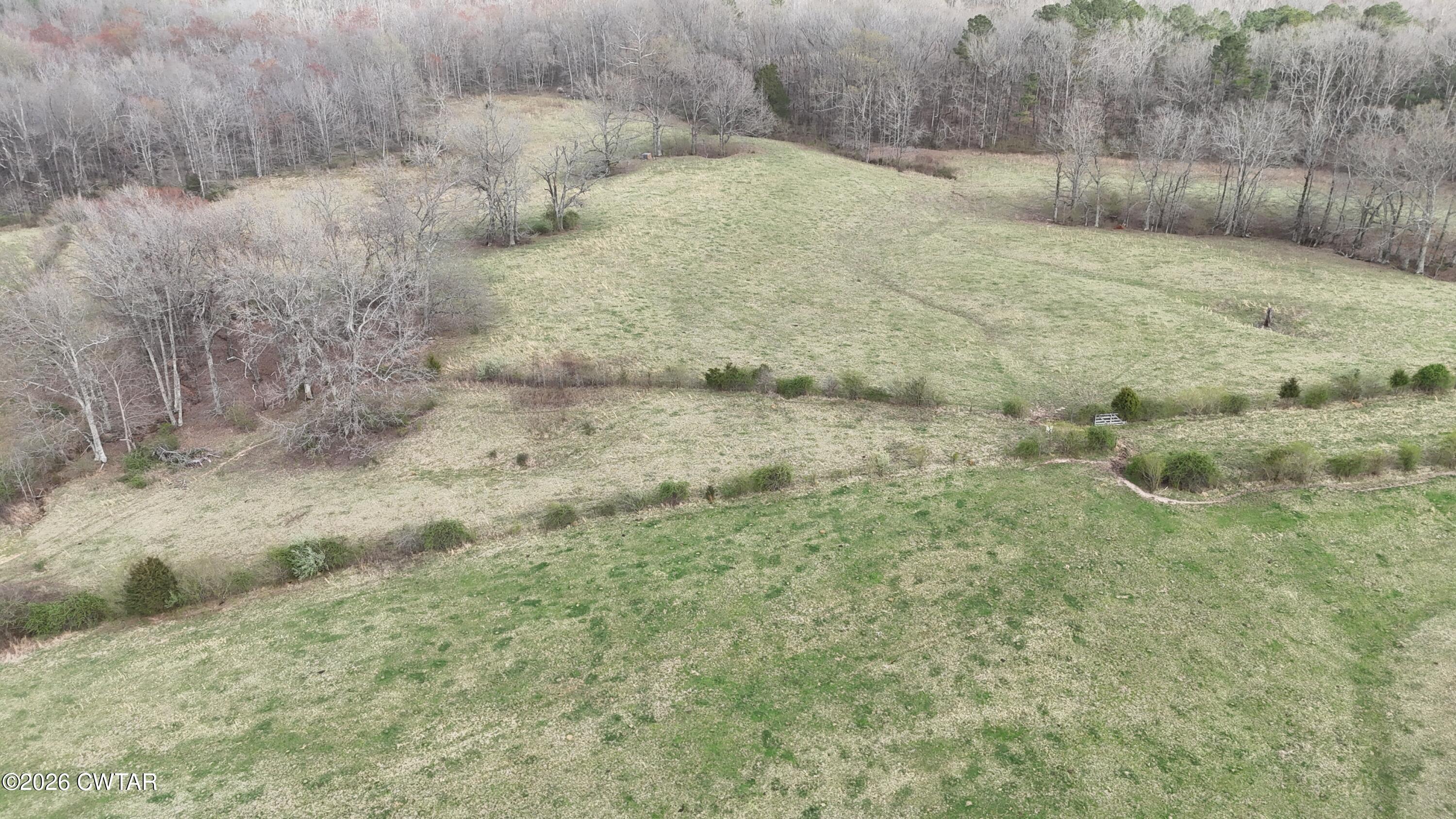 -tract #1 Brazil Bottom Road Lexington, TN 38351 - Photo 8 of 13 a view of a backyard of the house