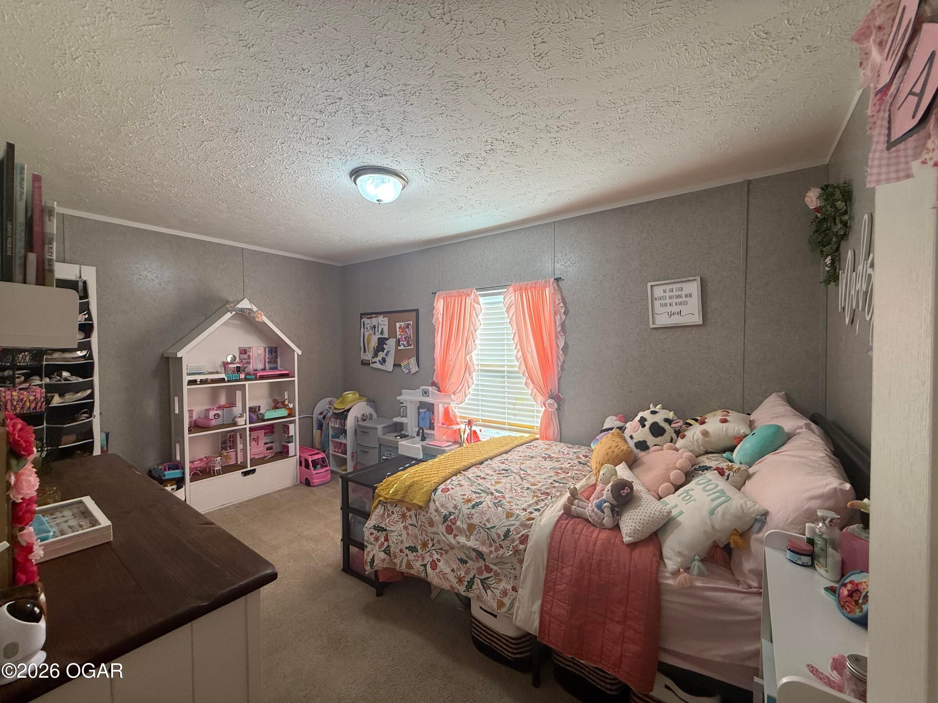 6731 Raccoon Road Pierce City, MO 65723 - Photo 73 of 103 Gallery Image 73
