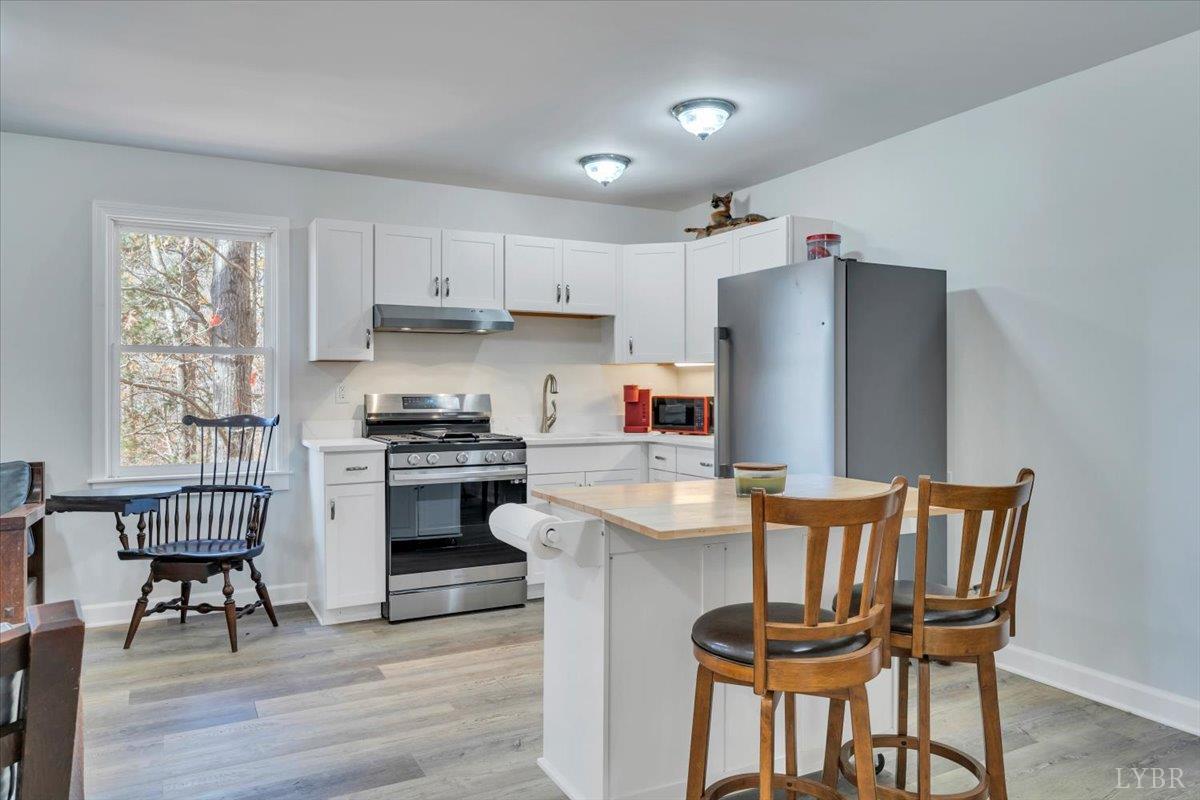 5050 Falkland Road Scottsburg, VA 24589 - Photo 54 of 97