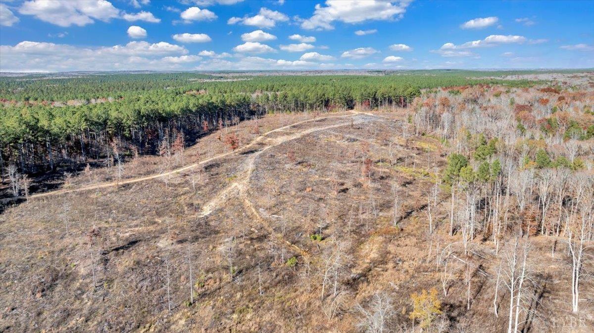 5050 Falkland Road Scottsburg, VA 24589 - Photo 69 of 97