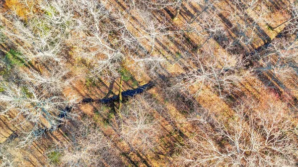 $1,900,000 | 5050 Falkland Road, Scottsburg, VA 24589