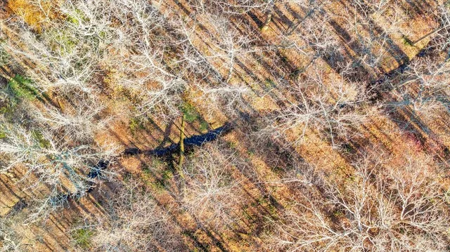 $1,900,000 | 5050 Falkland Road, Scottsburg, VA 24589